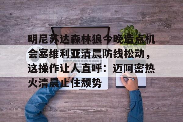 雷竞技官网入口-明尼苏达森林狼的主场球馆